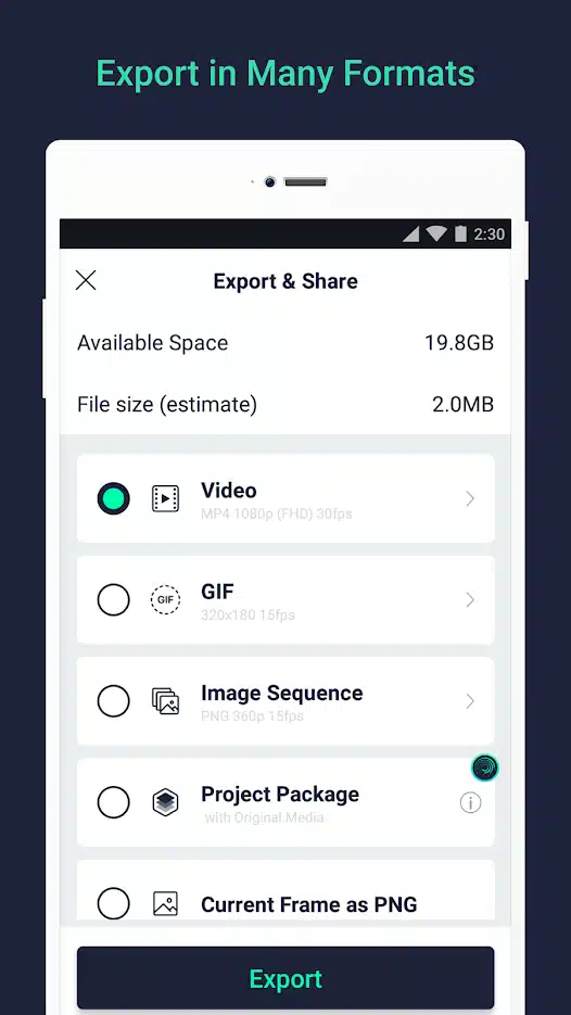 Export in Many Formats